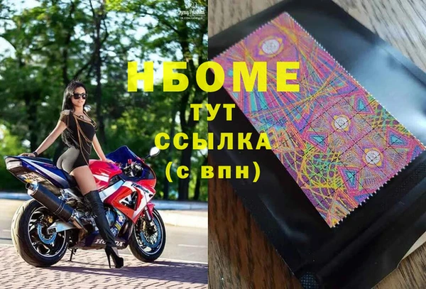 индика Протвино