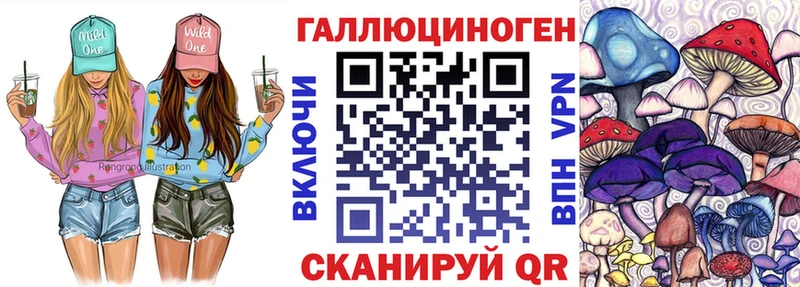 Галлюциногенные грибы Psilocybe  Бирюч 